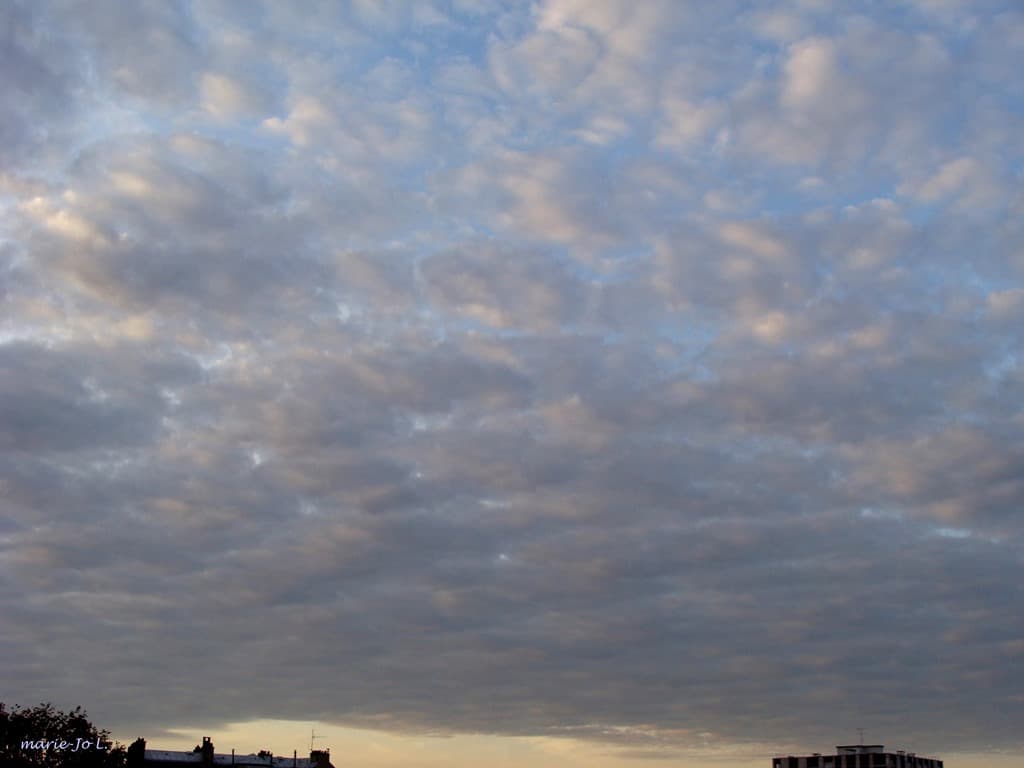 Ciel matinal
