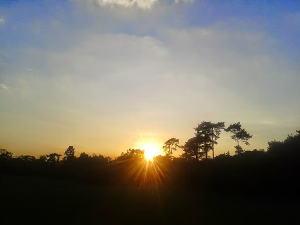 coucher de soleil au bois de Boulogne