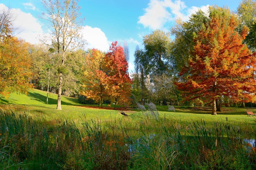couleurs d'automne