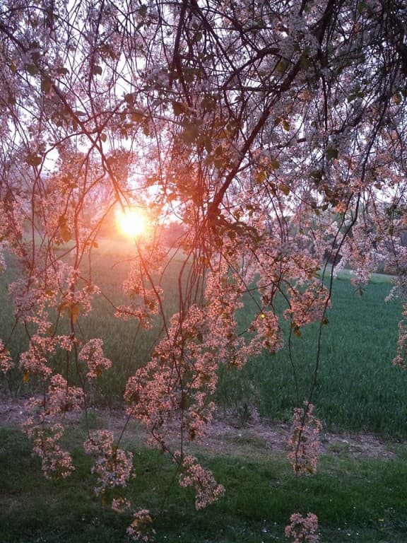 Crépuscule