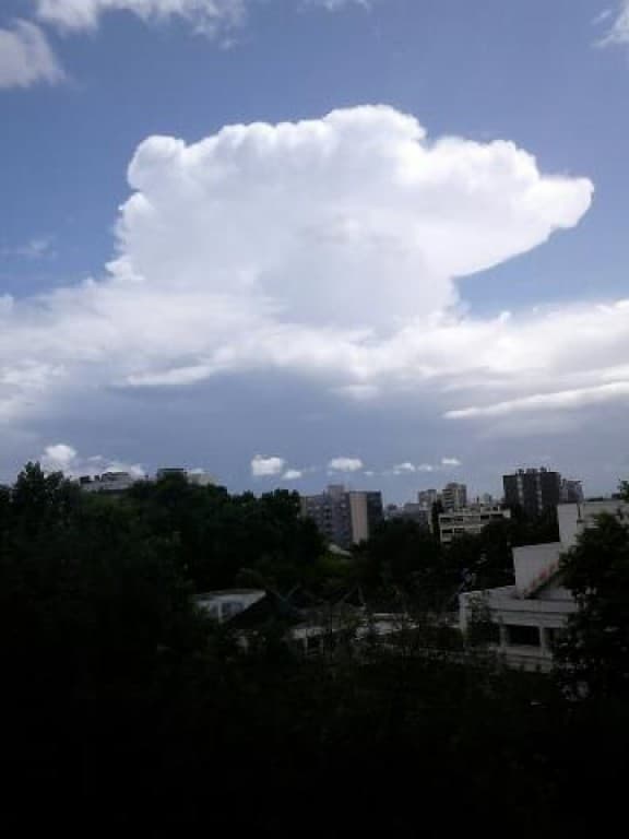 Cumulo Nimbus Calvus