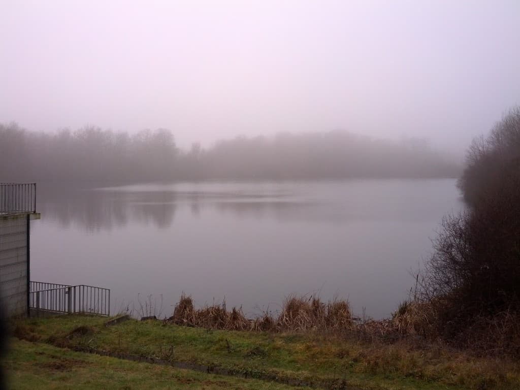 Etang du Manet