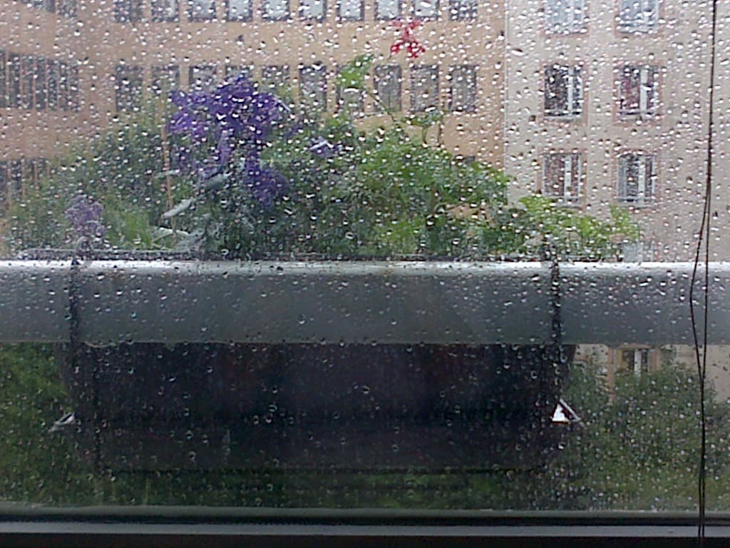 Fenêtre sur pluie....