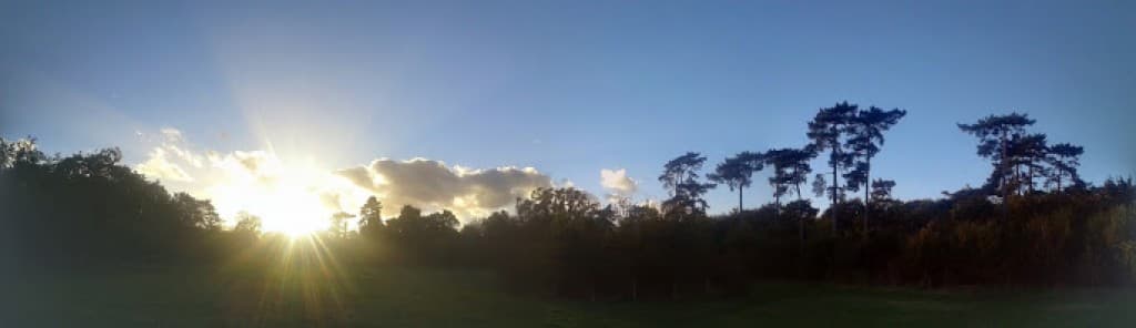fin d'apremidi  au  soleil
