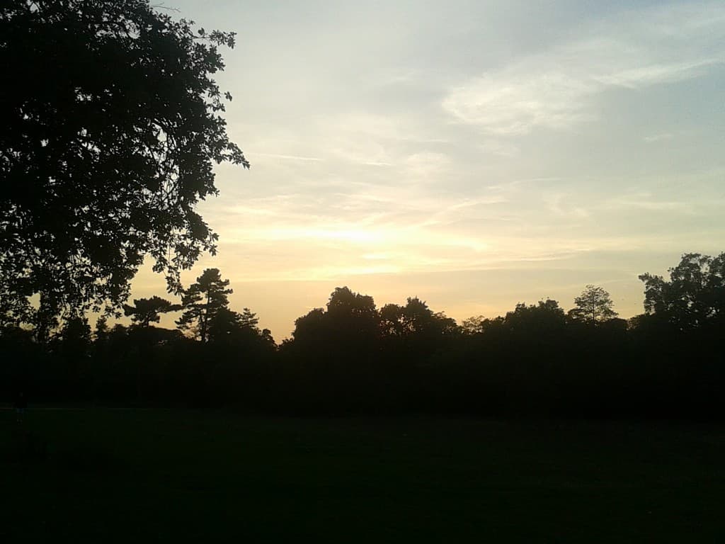 fin de journée au bois de Boulogne