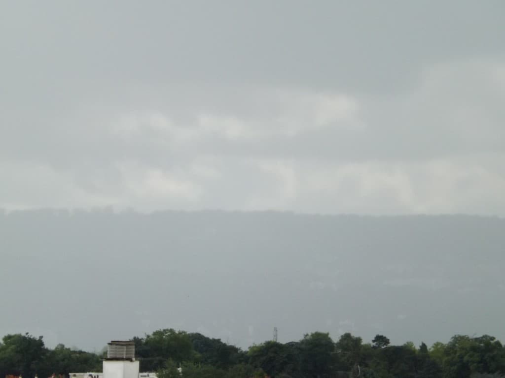 Forêt marlychoise sous la pluie