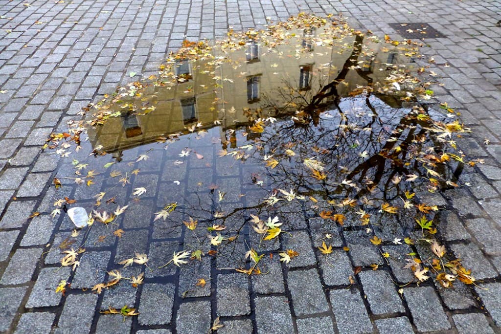 L'Automne à Belleville - Babeth Bonnereau