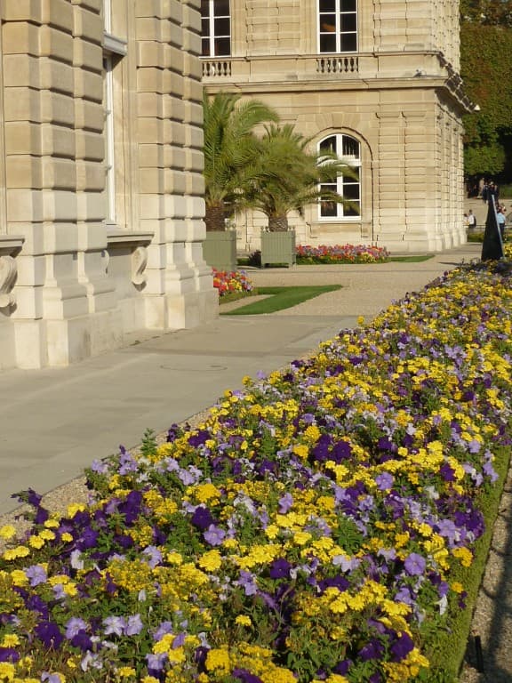 LE SENAT COTE JARDIN