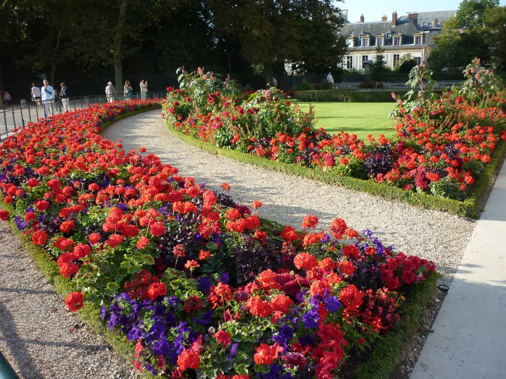 LE SENAT COTE JARDIN