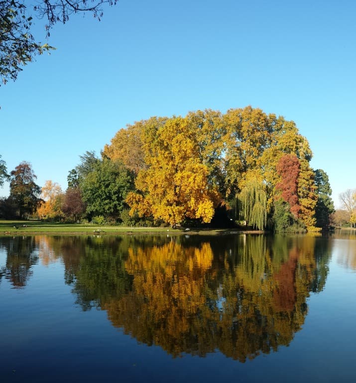 Les belles couleurs d'automne