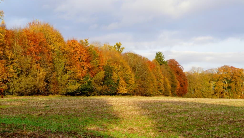 Magnifique France