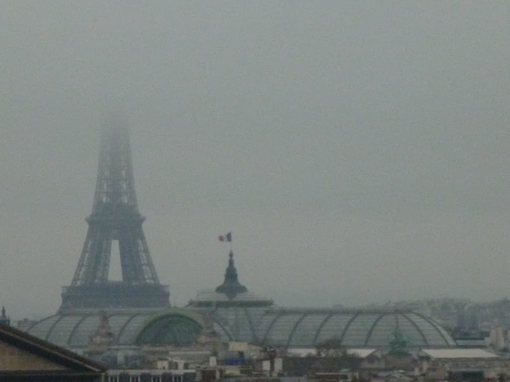 MATINEE LA TETE DANS LA BRUME