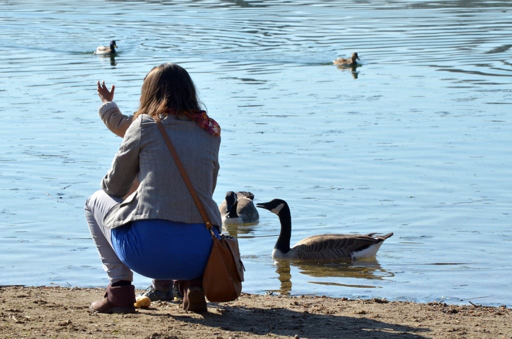 Moment de pause