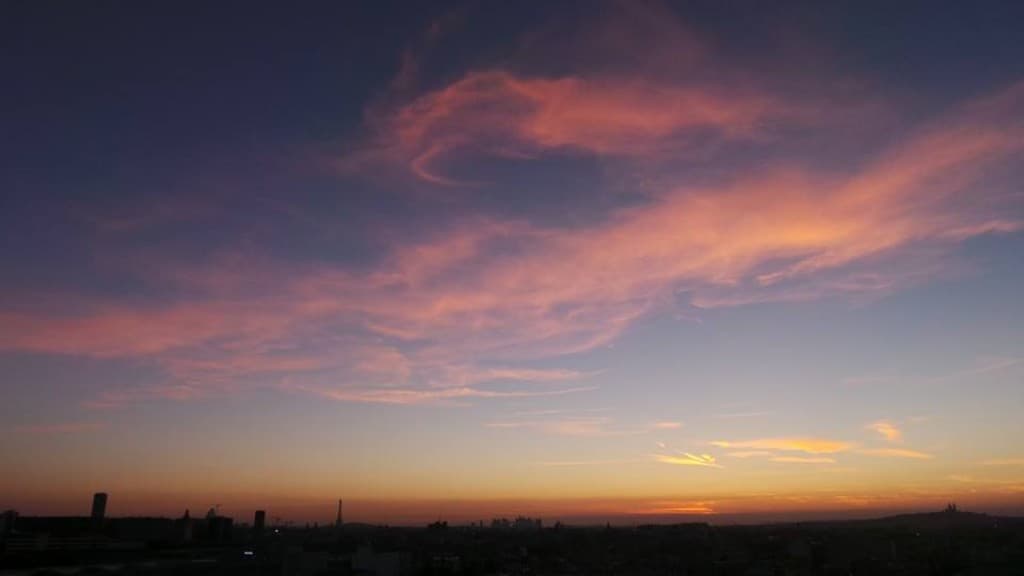 Paris en rose