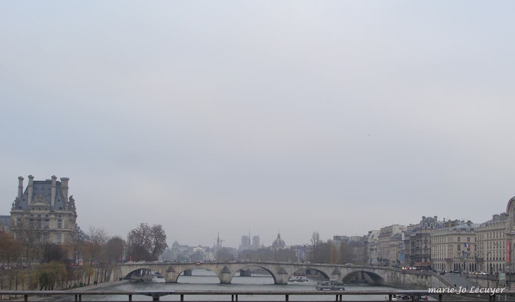 Paris fait grise mine (MJL)