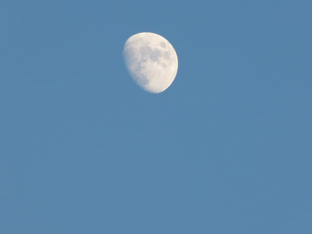 Presque la pleine lune