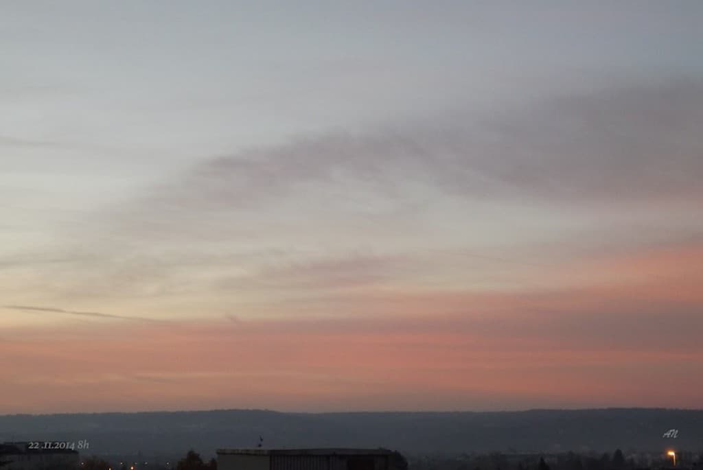 Rosé du matin