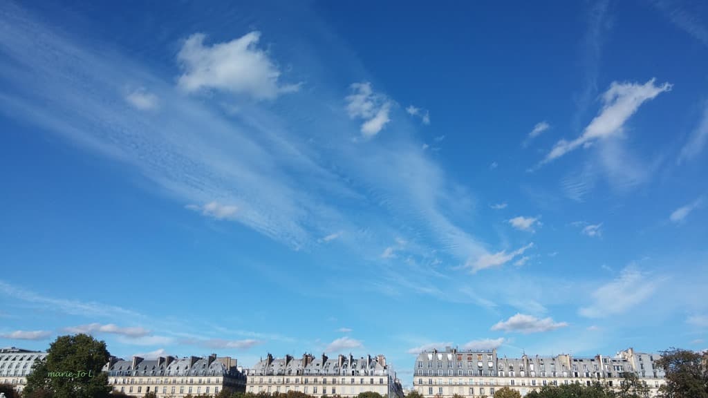 Vous avez dit automne ? (MJL)