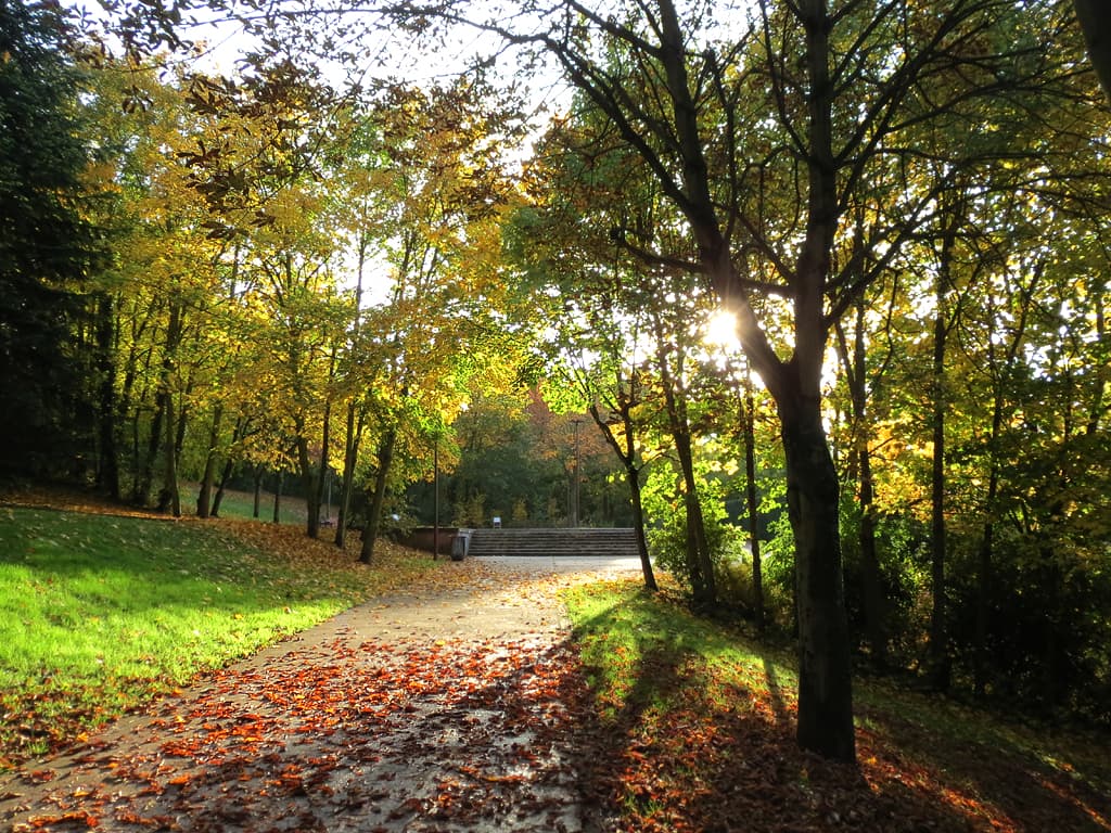 à un tier de l'automne