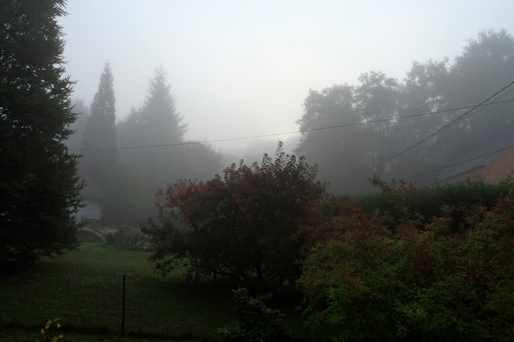 Ambiance automnale !