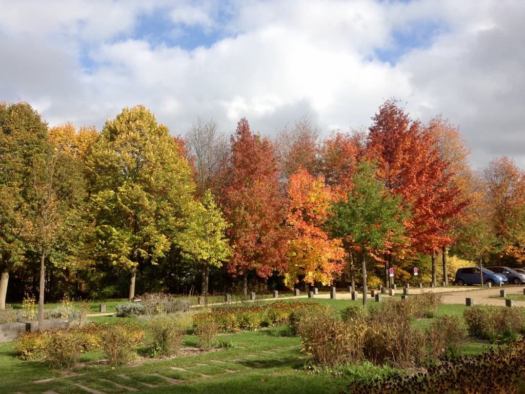Arboretum
