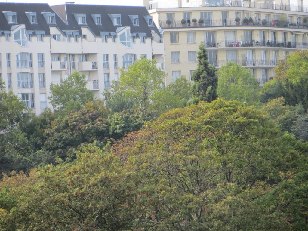automne aux buttes chaumont