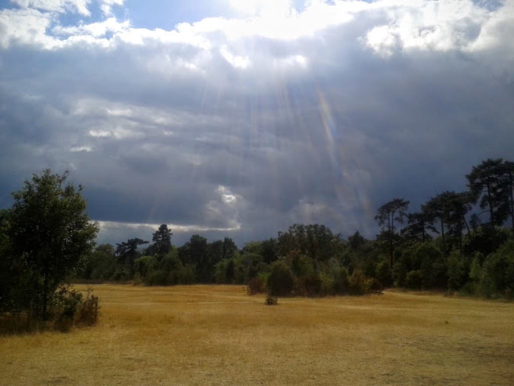 balade dans les bois