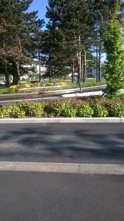 Beau soleil ce matin