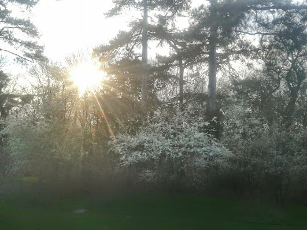 belle fin d'après-midi
