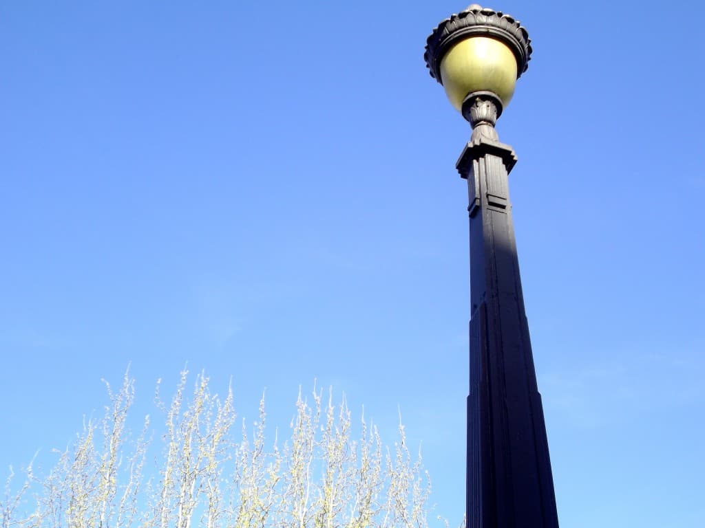 bourgeons dans le bleu