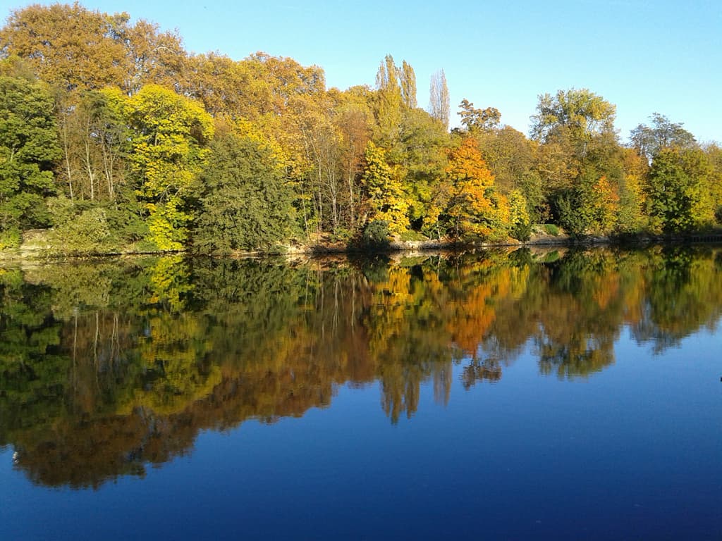 C'est l'automne !