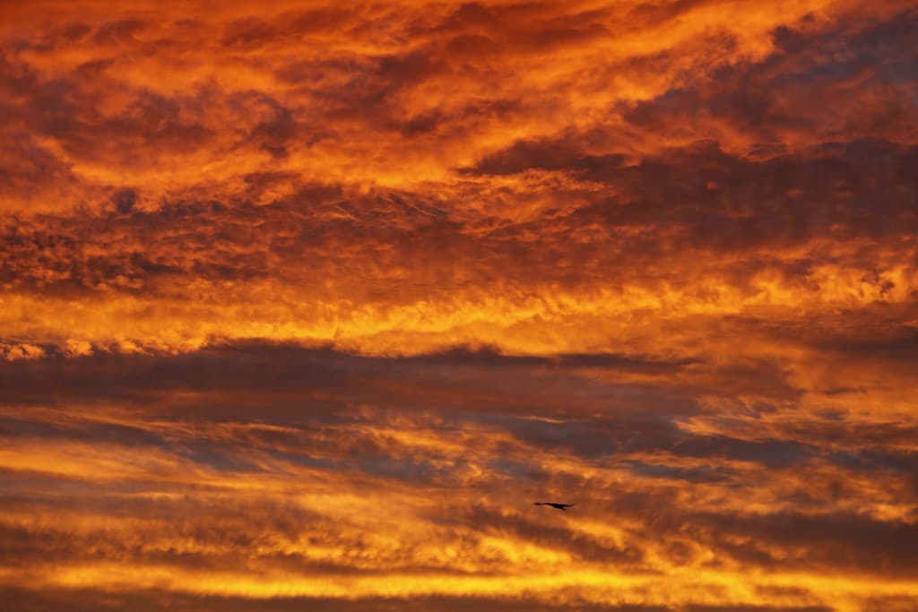 Ciel de novembre en feu
