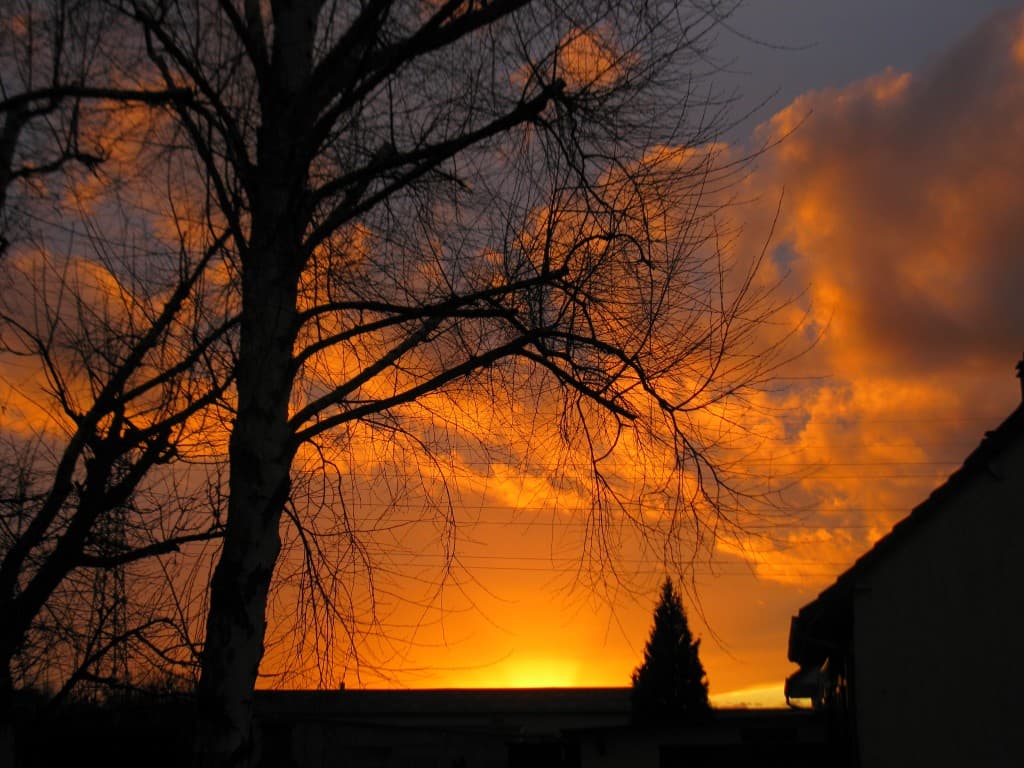 Coucher de soleil Picard