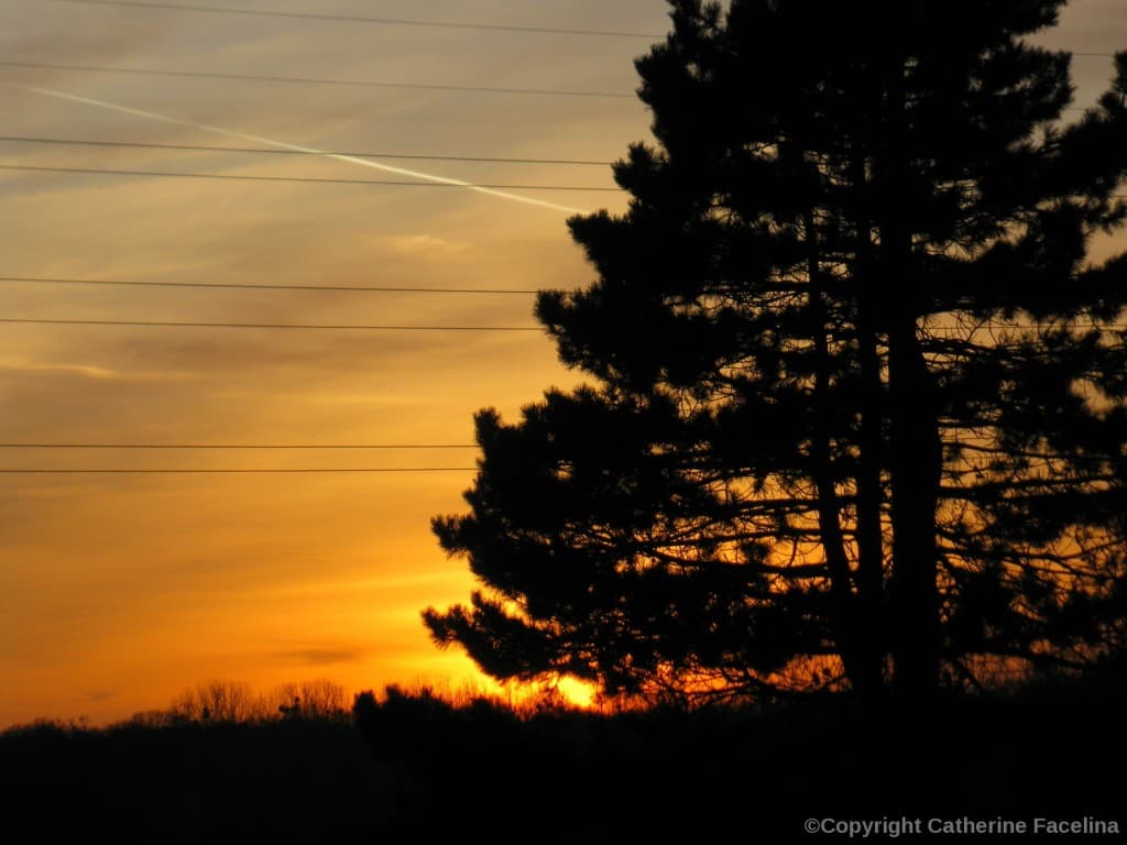 Coucher de soleil Picard