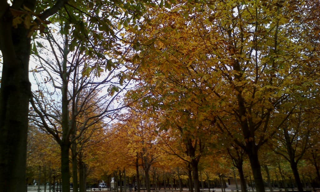 Couleurs d'Automne 2015