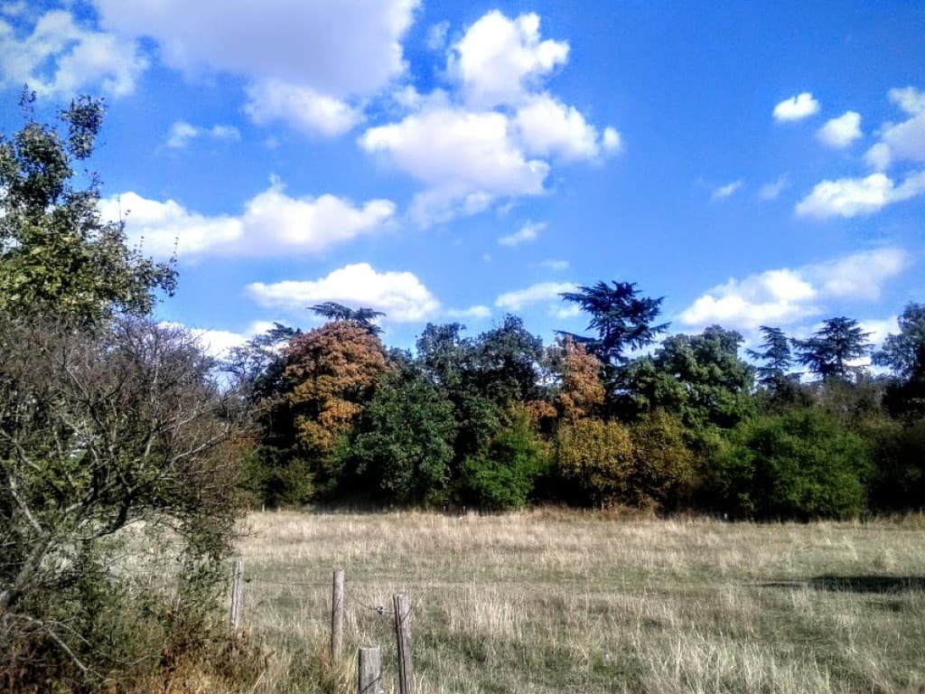 couleurs d'automne en été