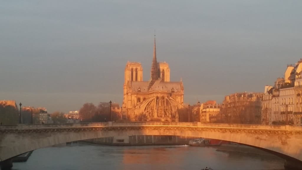 Couleurs sur Notre-Dame
