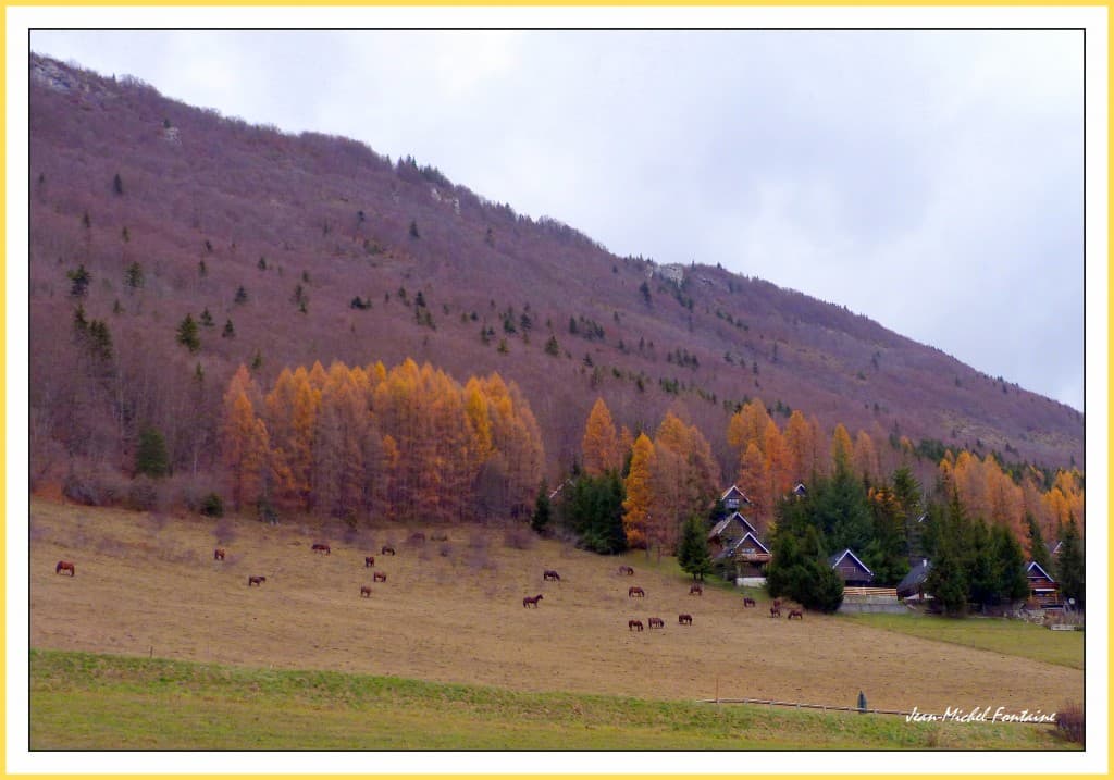 encore quelques couleurs avant la neige...