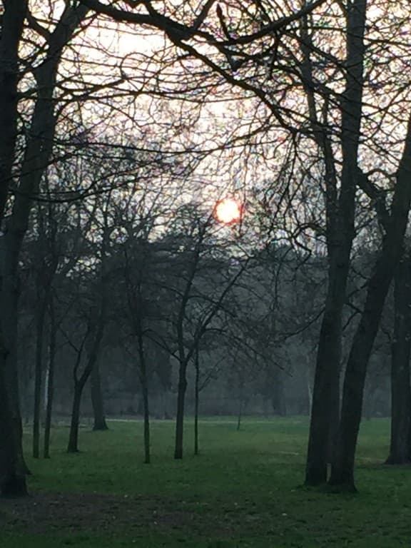 fin de journée après eclipse by w.t.