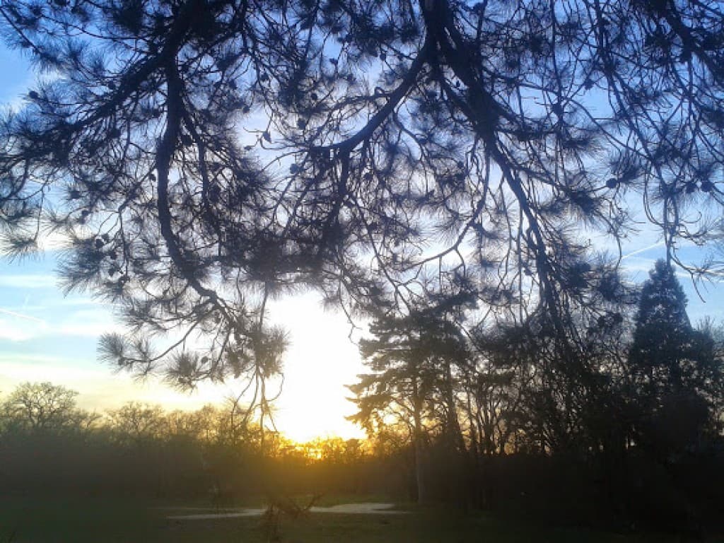 fin de journée au bois de Boulogne