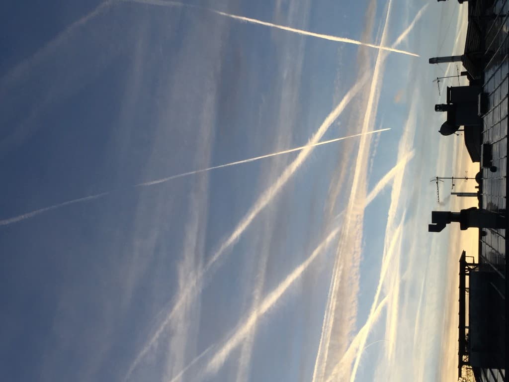 griffures matinales sur Paris 16 w.t