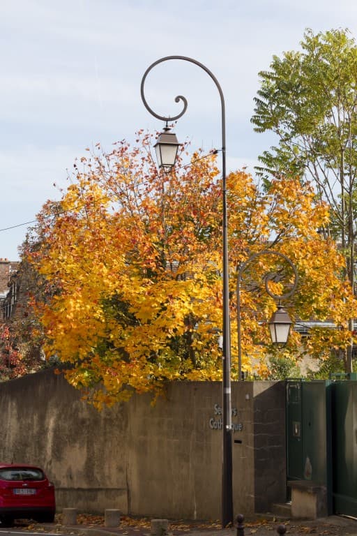 journée d automne