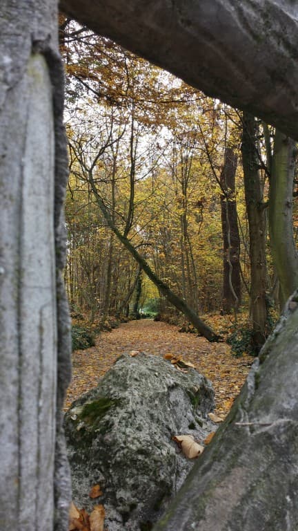 l'automne