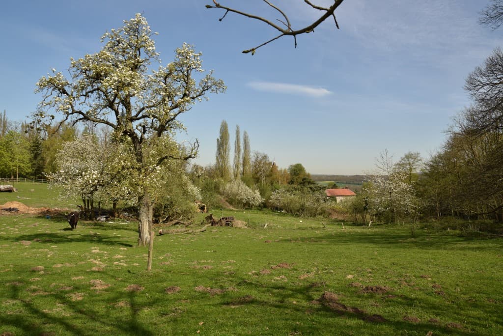 L'été encore