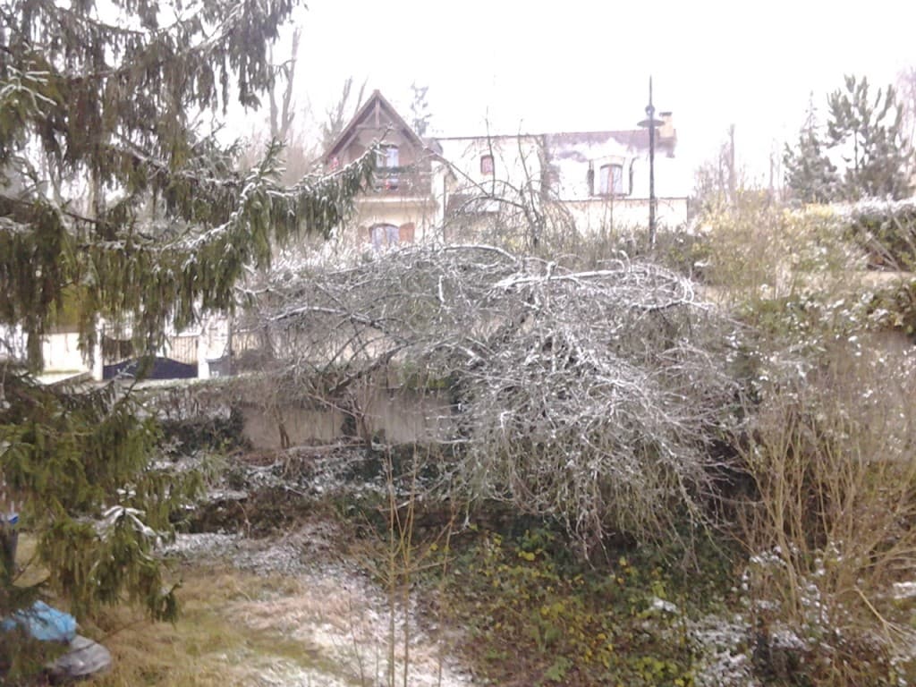 La neige matinale
