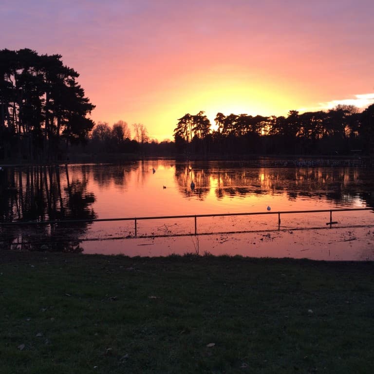 Lac bois de Boulogne