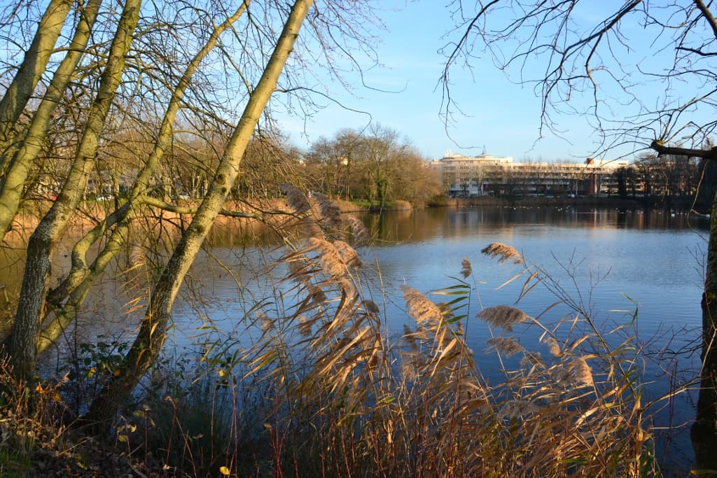 Lac de lognes/Torcy