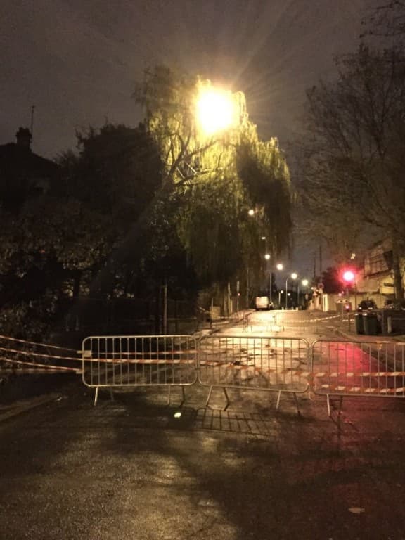 Le vent a eu raison de cet arbre