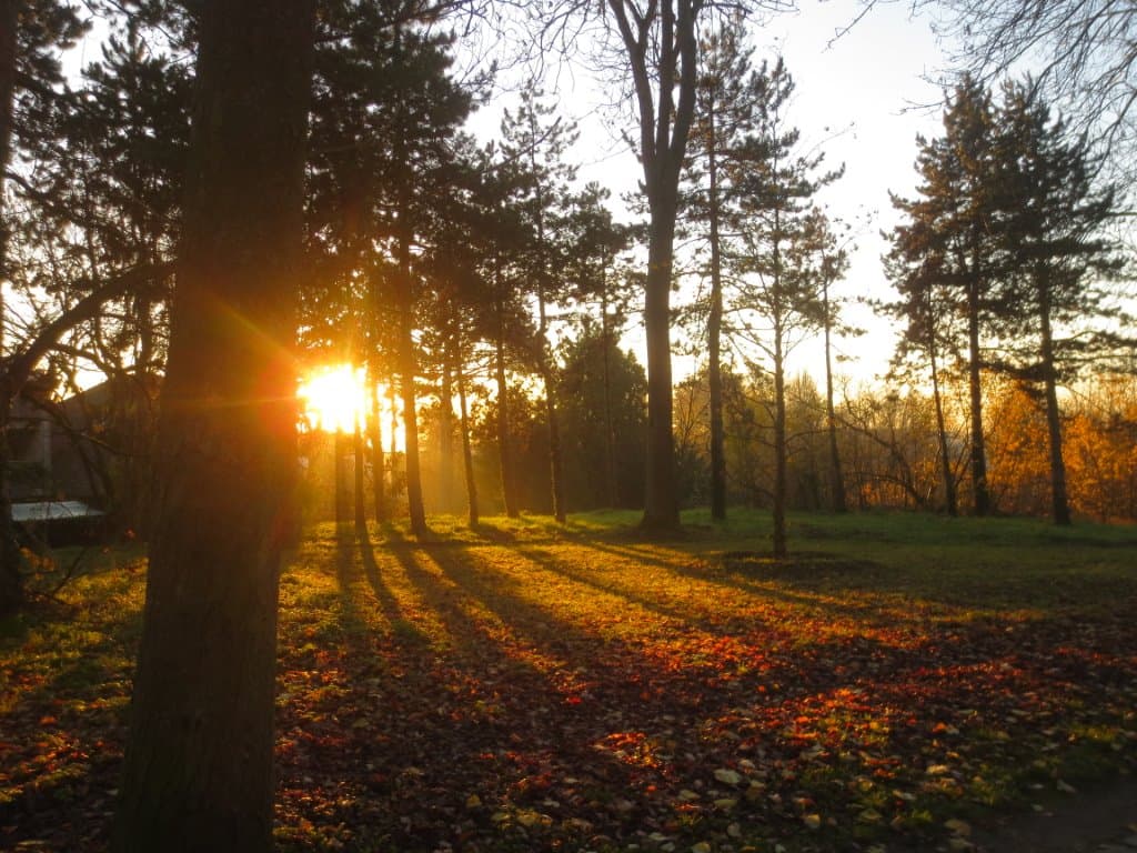 lever de soleil au parc de SCEAUX 