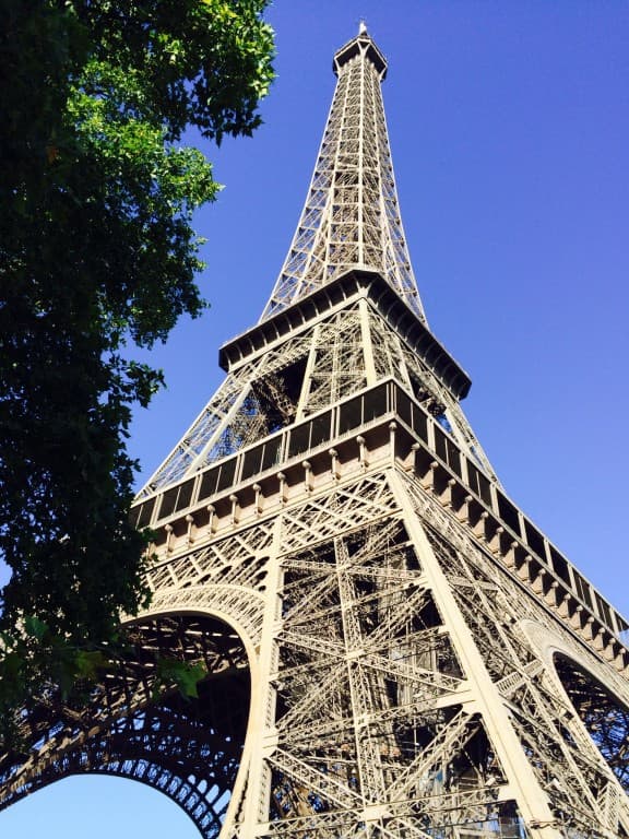 Magnifique Dame